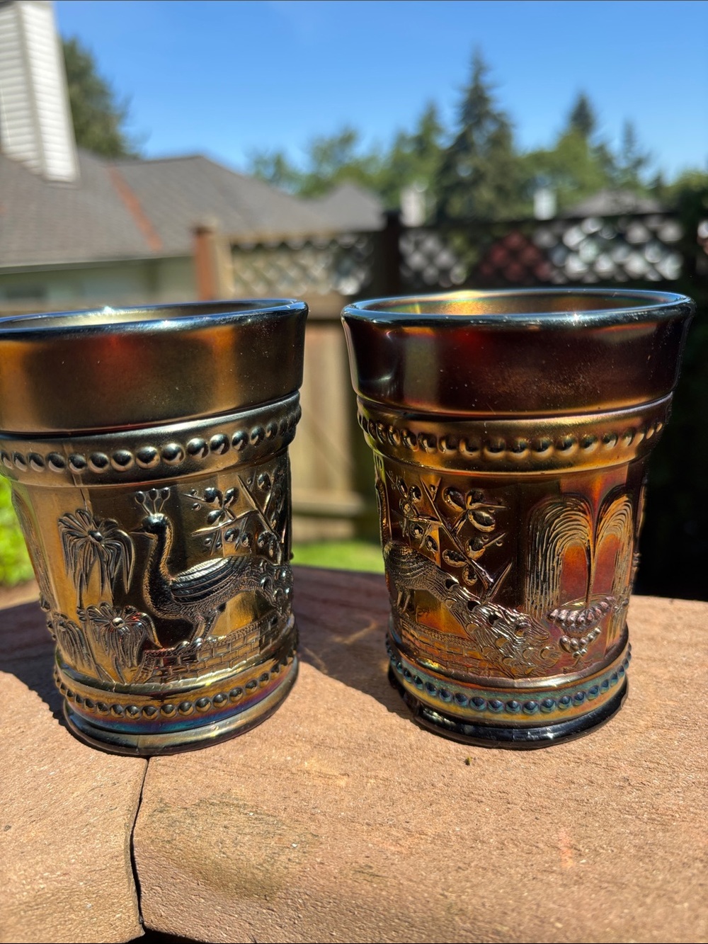 Iridescent Carnival Glass Tumbler Pair with Bird Motif - Amber